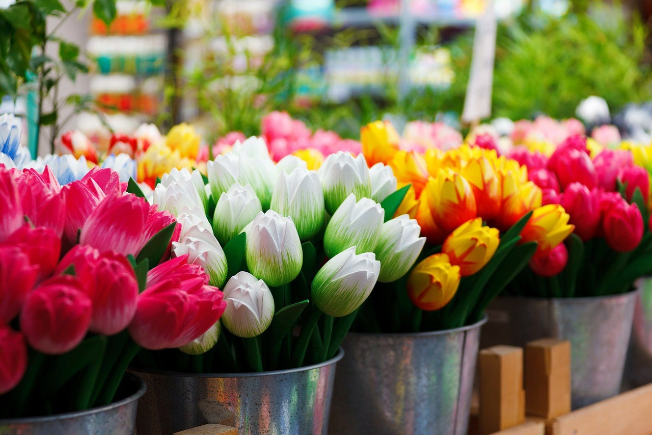 שופינג באמסטרדם שוק הפרחים